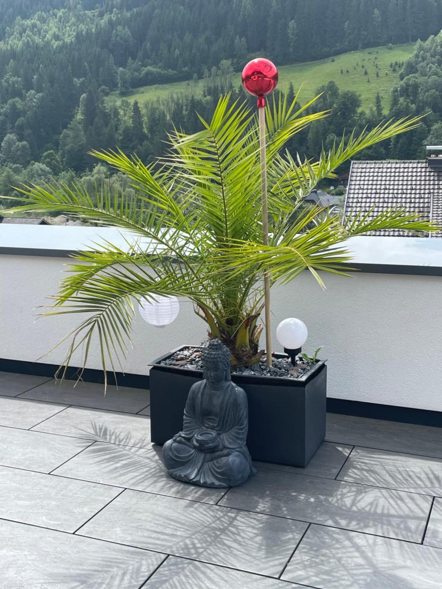 Sun Chalet Schladming Eksteriør billede